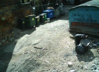 bytomska fotopulapka