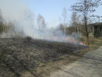 oswiecimska wypalanie 02